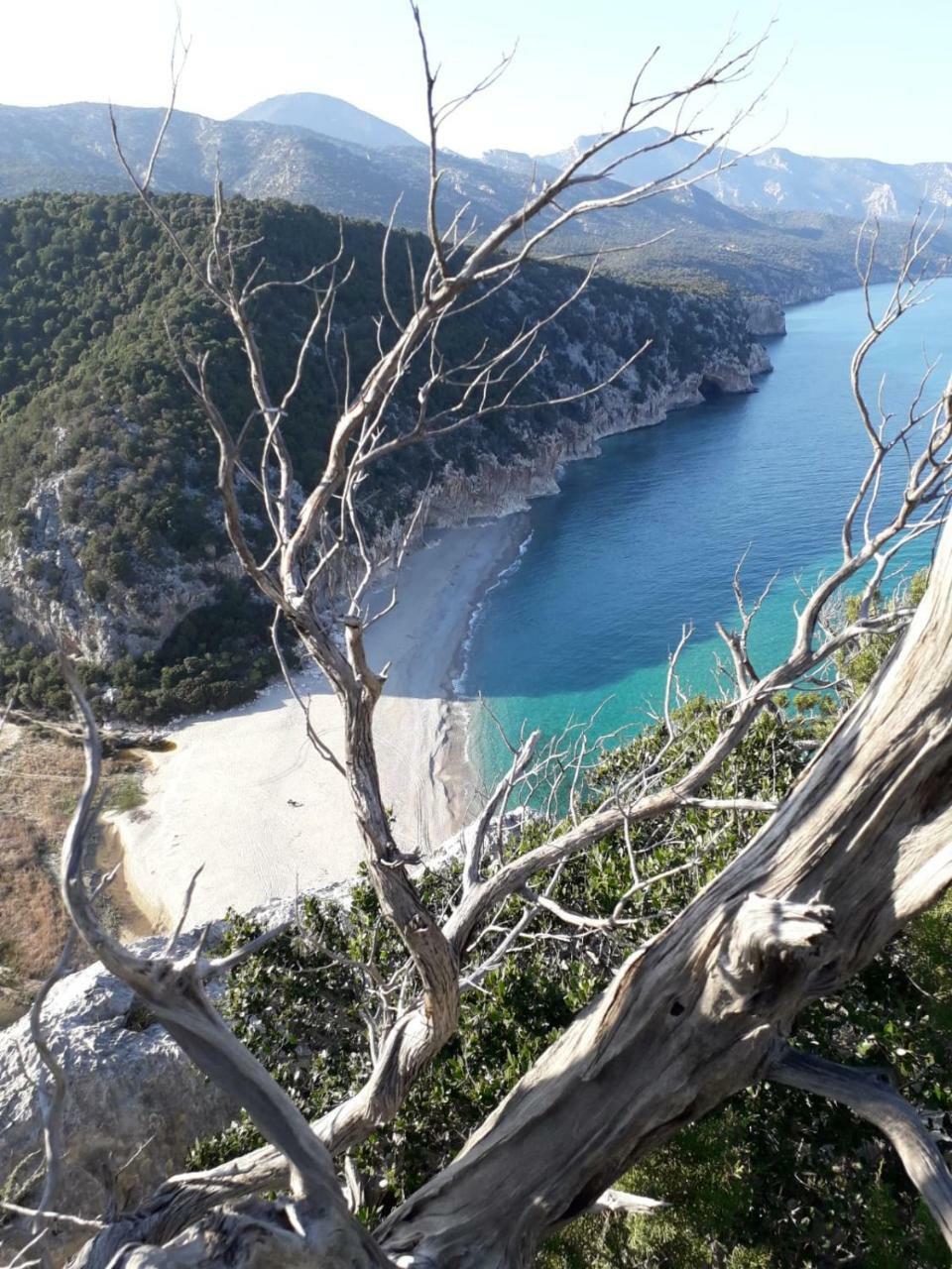 B&B Fradama' Holiday Dorgali Kültér fotó
