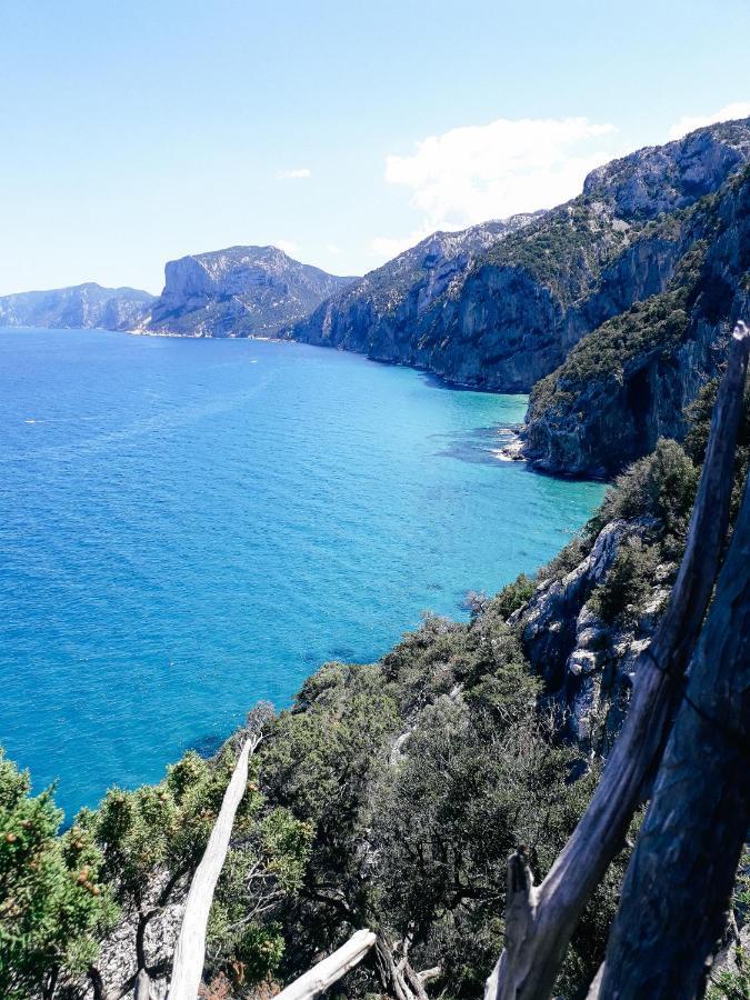 B&B Fradama' Holiday Dorgali Kültér fotó