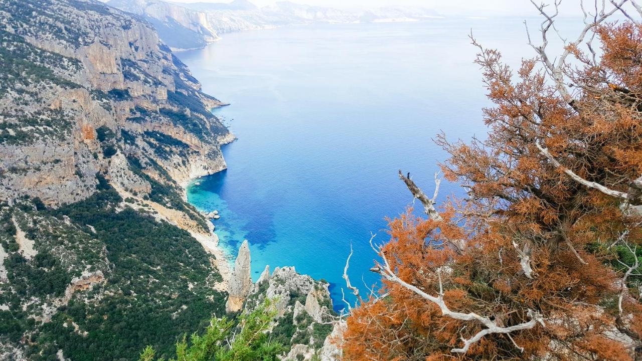 B&B Fradama' Holiday Dorgali Kültér fotó
